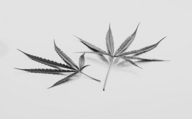 Детоксикация от наркотиков в Гороховце